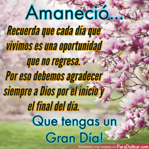 Agradece cada día: reflexiones matutinas para compartir
