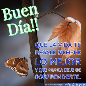 Mensajes de Buenos Días: Sorprende a tus Seres Queridos
