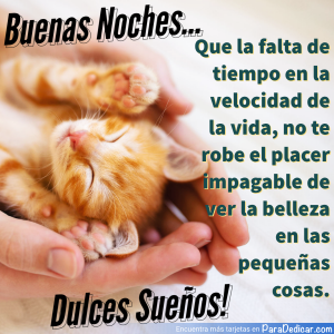 Tarjetas de Buenas Noches: Dulces Sueños para Todos