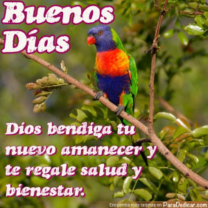 Buenos Días: Mensajes Inspiradores para Amanecer