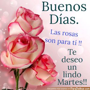 Buenos Días: Envía Rosas y Buenas Vibras este Martes