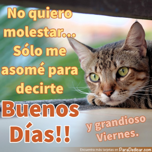 Saludo de Buenos Días: Celebra el Viernes con Alegría