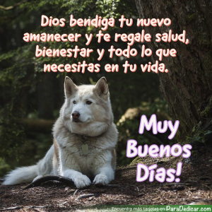 Dios Bendiga Tu Nuevo Amanecer: Salud y Bienestar