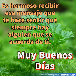Mensajes Inspiradores para Comenzar el Día con Amor