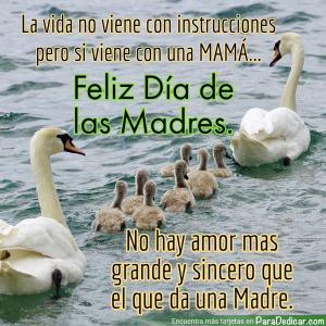 Feliz Día De Las Madres: El Amor Más Grande Y Sincero