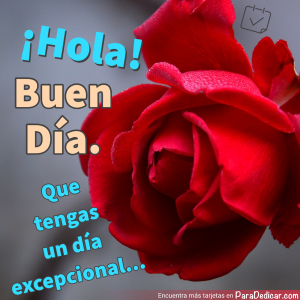 ¡Hola! Mensajes De Buenos Días Para Compartir