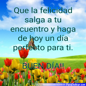 Que la Felicidad Salga A Tu Encuentro - ¡Buen Día!