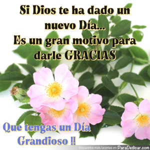 Agradece Cada Nuevo Día: Un Mensaje Inspirador