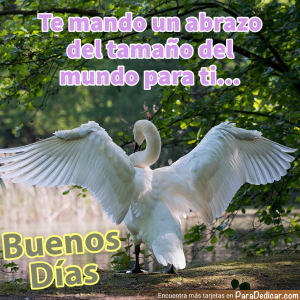 Te Mando Un Abrazo... Buenos Días - Comparte Calidez