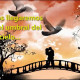 Jose Luis Rodriguez El Puma - La Llamada Del Amor (con Letra)